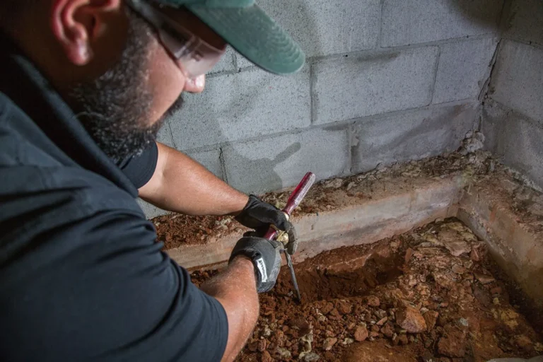 Why Hire Our Termite Inspection Company Longwood FL?