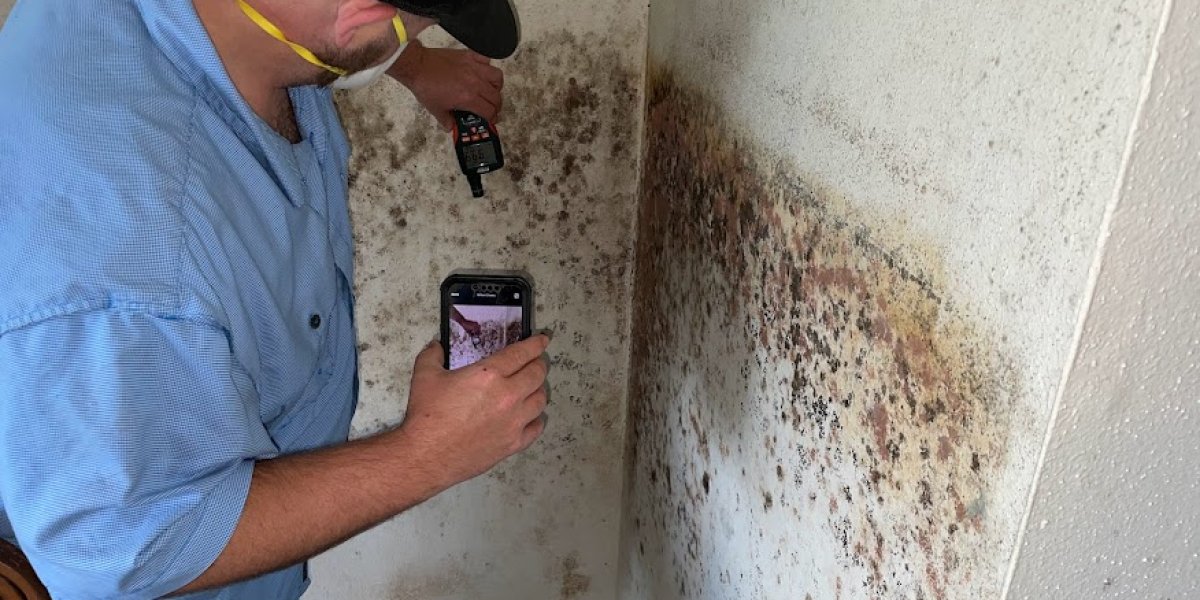 Mold Inspection in Winter Park FL
