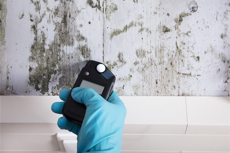 Residential Mold Inspection in Apopka FL