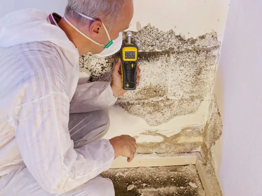 Residential Mold Inspection in Winter Park FL
