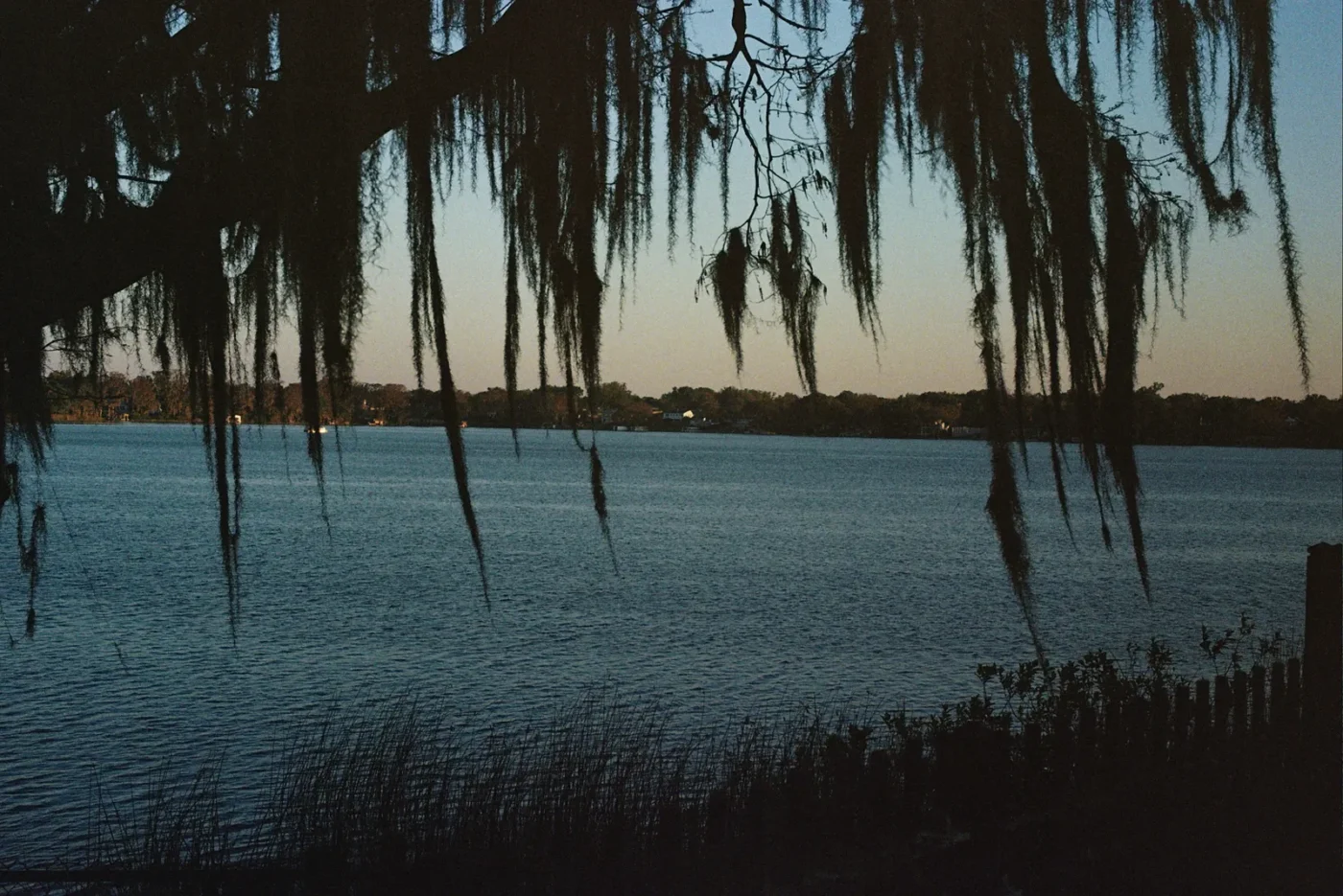 Lake framed by Spanish moss near Maitland, Florida