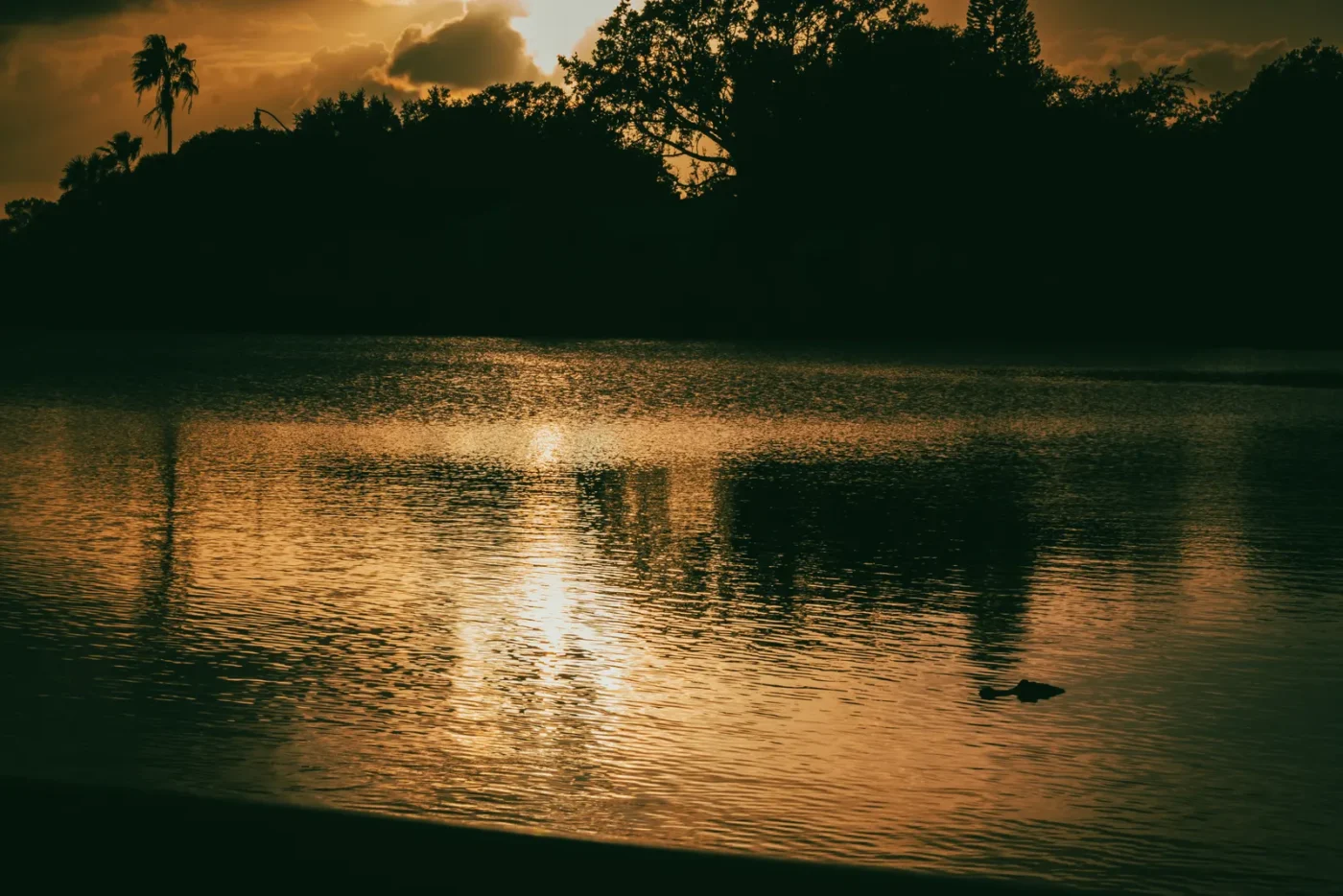 Sunset over a lake near St. Cloud, Florida