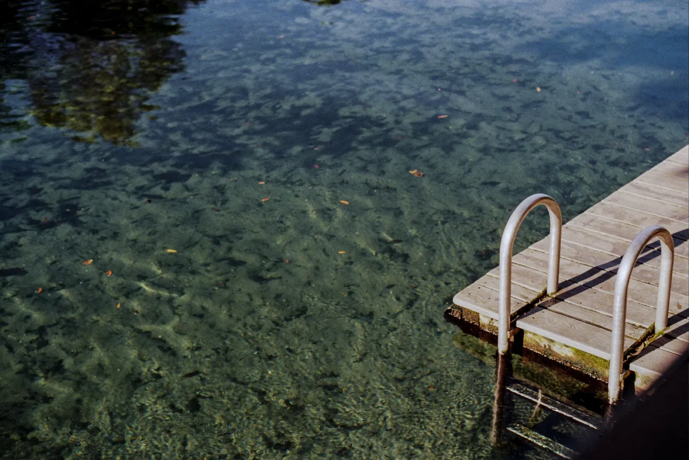 Wekiwa Springs near Apopka, Florida