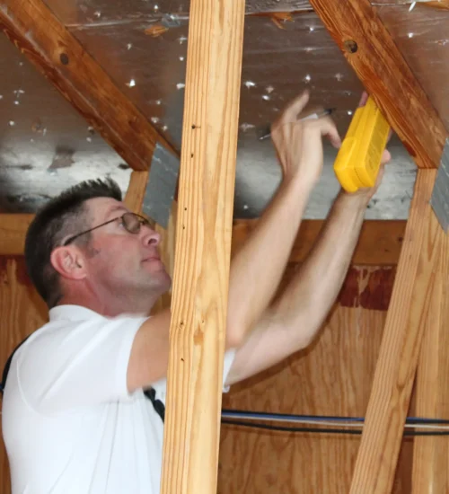 How Long Does a Termite Inspection Take in Orlando FL