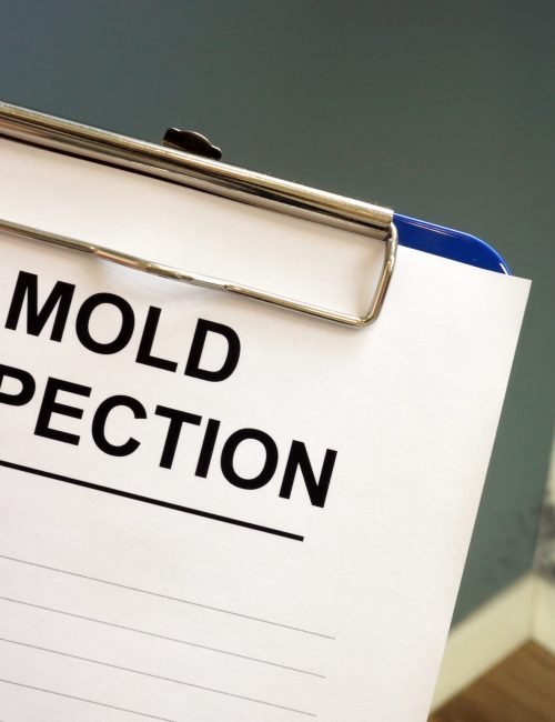 How to Choose a Qualified Mold Inspection Company Orlando FL