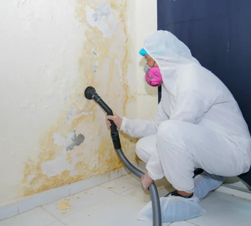 How to Get a Free Mold Inspection Orlando FL & When to Schedule an Inspection