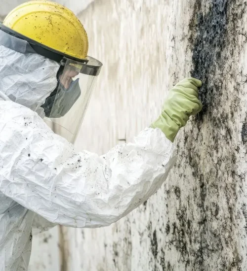 Residential Mold Inspection Vs Commercial Mold Inspection Orlando FL