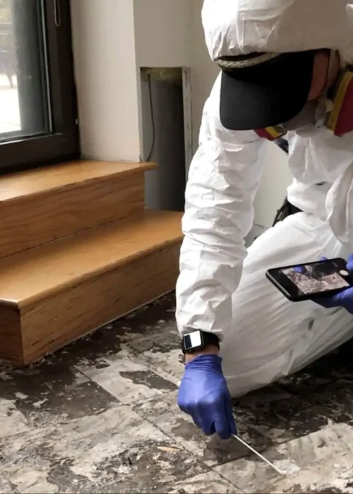 Where Does Mold Commonly Grow?
